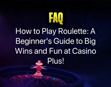 How to Play Roulette How to Play Roulette